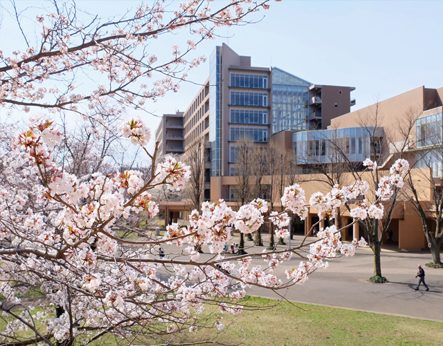 东京外国语大学
